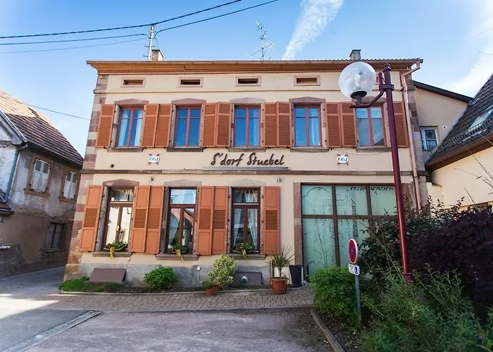 Hotel Le Dormeur Dorlisheim